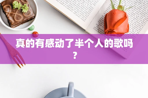 真的有感动了半个人的歌吗？