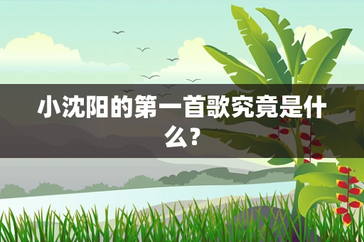 小沈阳的第一首歌究竟是什么？