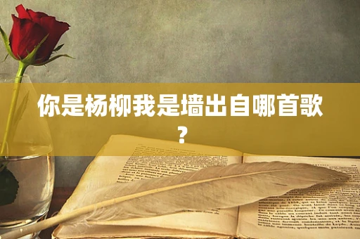 你是杨柳我是墙出自哪首歌？