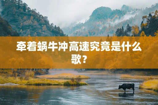 牵着蜗牛冲高速究竟是什么歌？