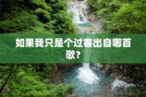 如果我只是个过客出自哪首歌？