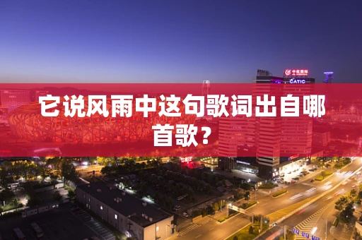 它说风雨中这句歌词出自哪首歌？