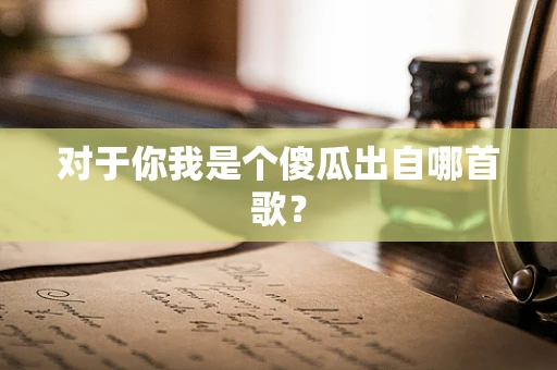 对于你我是个傻瓜出自哪首歌？