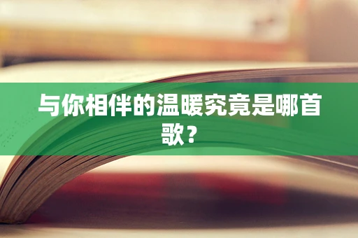 与你相伴的温暖究竟是哪首歌？