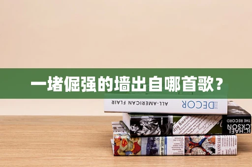 一堵倔强的墙出自哪首歌？