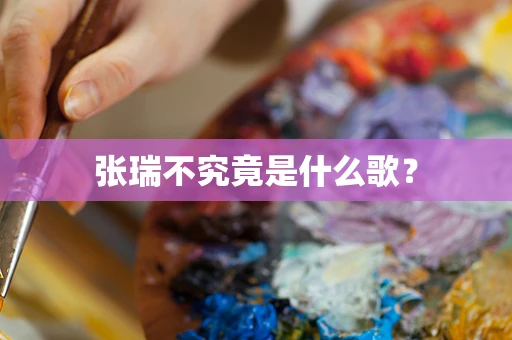 张瑞不究竟是什么歌？