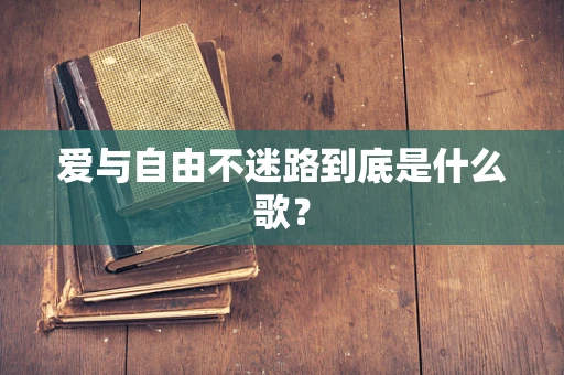 爱与自由不迷路到底是什么歌？