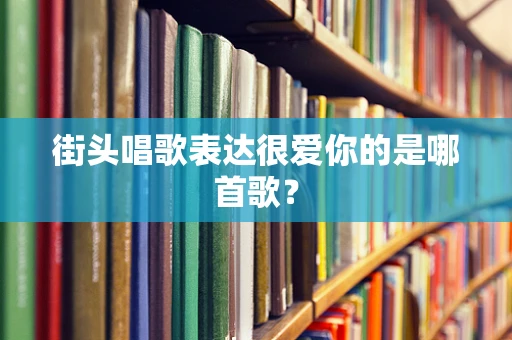 街头唱歌表达很爱你的是哪首歌？