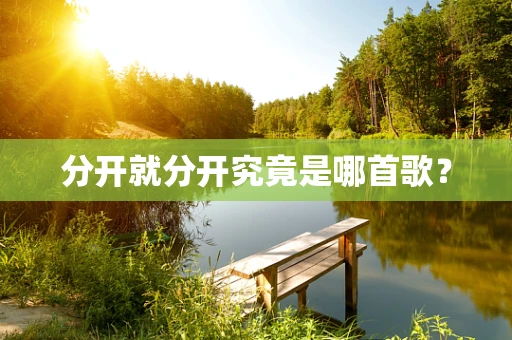 分开就分开究竟是哪首歌？