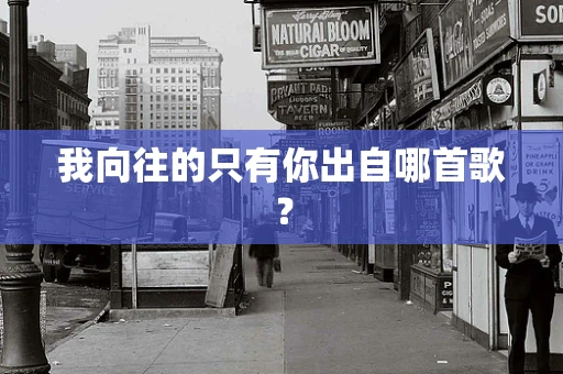 我向往的只有你出自哪首歌？