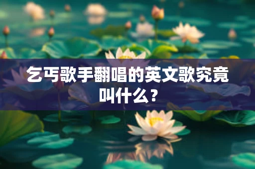 乞丐歌手翻唱的英文歌究竟叫什么？