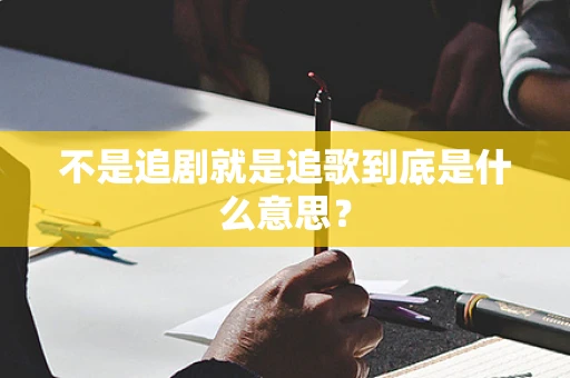 不是追剧就是追歌到底是什么意思？