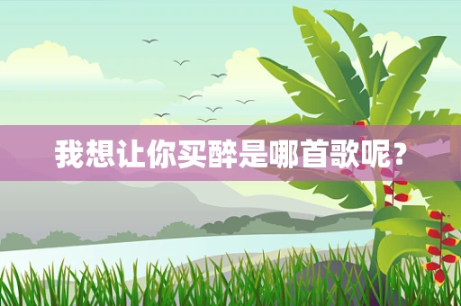 我想让你买醉是哪首歌呢？