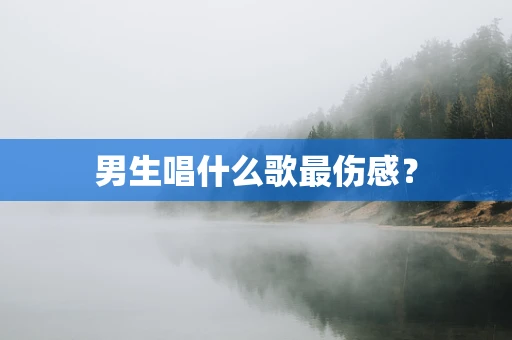 男生唱什么歌最伤感？