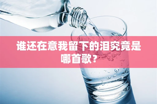 谁还在意我留下的泪究竟是哪首歌？