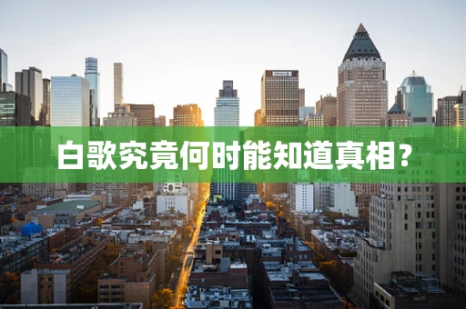 白歌究竟何时能知道真相？