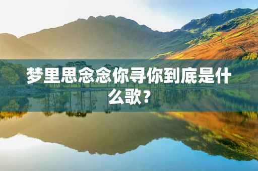 梦里思念念你寻你到底是什么歌？