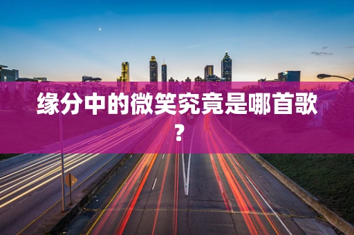 缘分中的微笑究竟是哪首歌？