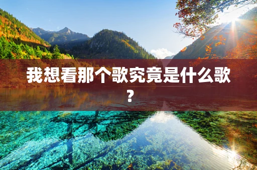 我想看那个歌究竟是什么歌？