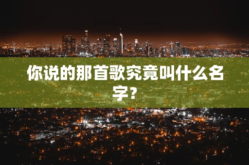 你说的那首歌究竟叫什么名字？