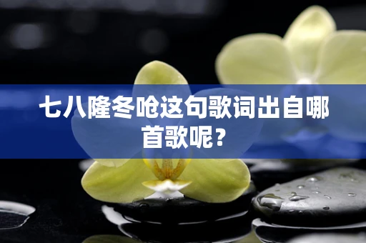 七八隆冬呛这句歌词出自哪首歌呢？