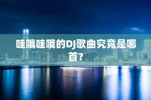 哇哦哇哦的DJ歌曲究竟是哪首？