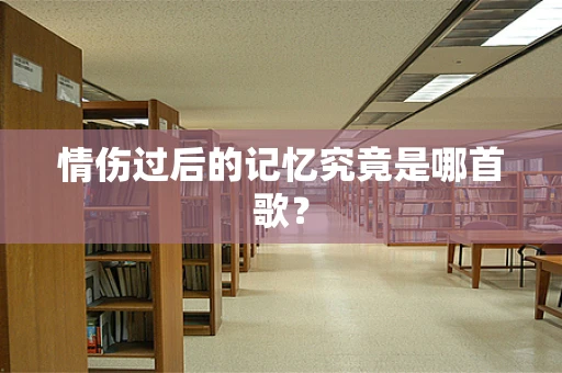 情伤过后的记忆究竟是哪首歌？