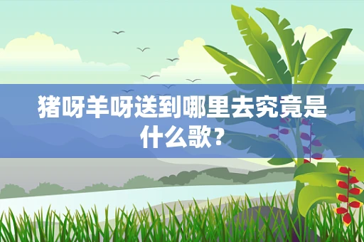 猪呀羊呀送到哪里去究竟是什么歌？