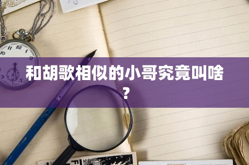 和胡歌相似的小哥究竟叫啥？