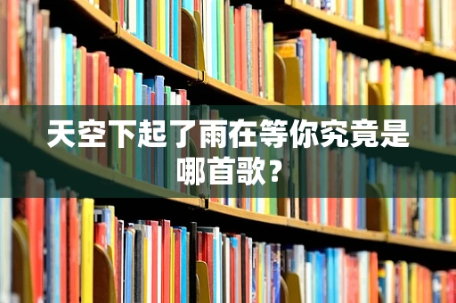天空下起了雨在等你究竟是哪首歌？