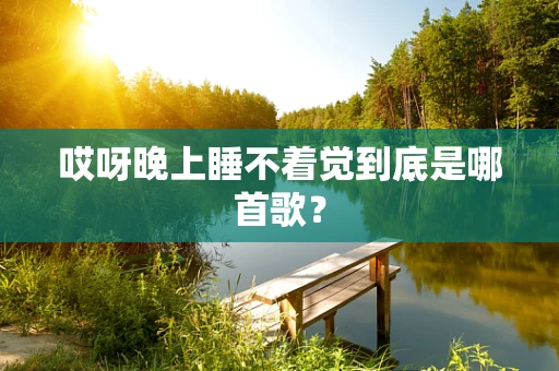 哎呀晚上睡不着觉到底是哪首歌？