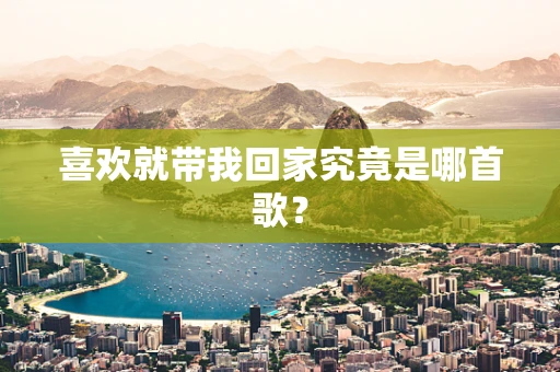 喜欢就带我回家究竟是哪首歌？