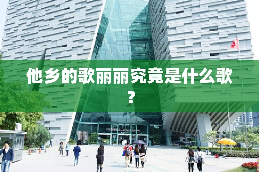 他乡的歌丽丽究竟是什么歌？