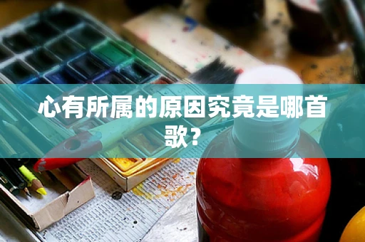 心有所属的原因究竟是哪首歌？