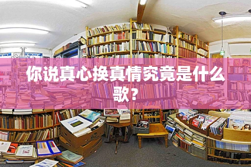 你说真心换真情究竟是什么歌？