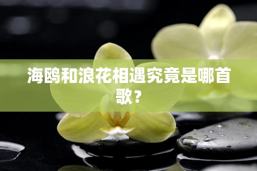 海鸥和浪花相遇究竟是哪首歌？