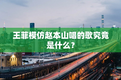 王菲模仿赵本山唱的歌究竟是什么？