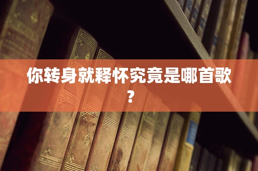 你转身就释怀究竟是哪首歌？