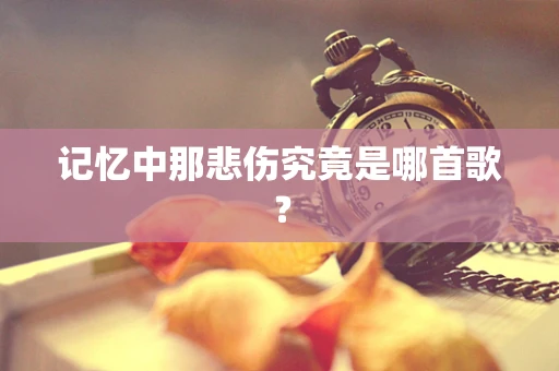 记忆中那悲伤究竟是哪首歌？