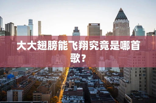 大大翅膀能飞翔究竟是哪首歌？