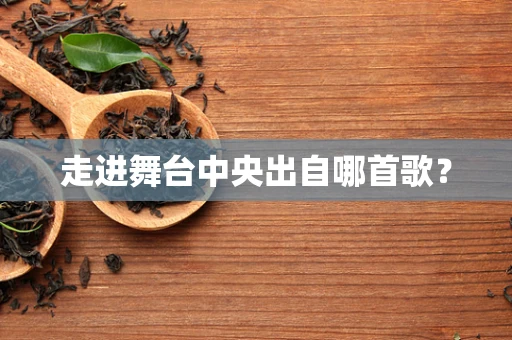 走进舞台中央出自哪首歌？