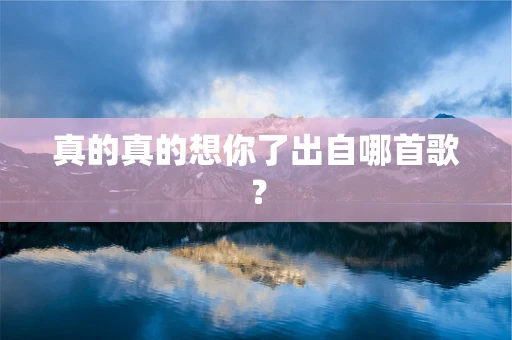 真的真的想你了出自哪首歌？