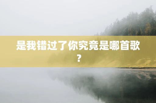 是我错过了你究竟是哪首歌？