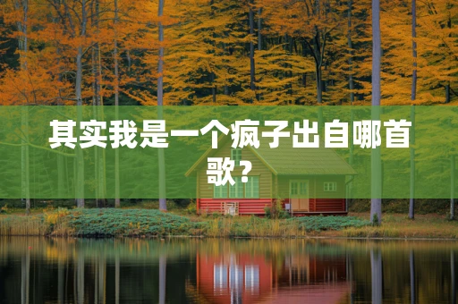 其实我是一个疯子出自哪首歌？