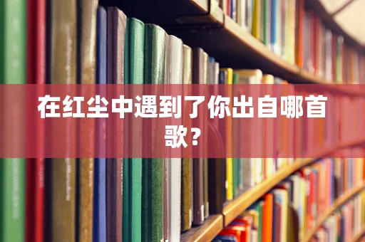 在红尘中遇到了你出自哪首歌？
