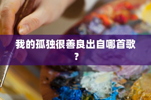 我的孤独很善良出自哪首歌？