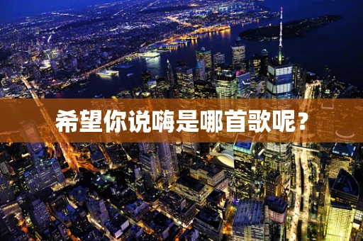 希望你说嗨是哪首歌呢？