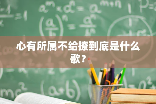 心有所属不给撩到底是什么歌？
