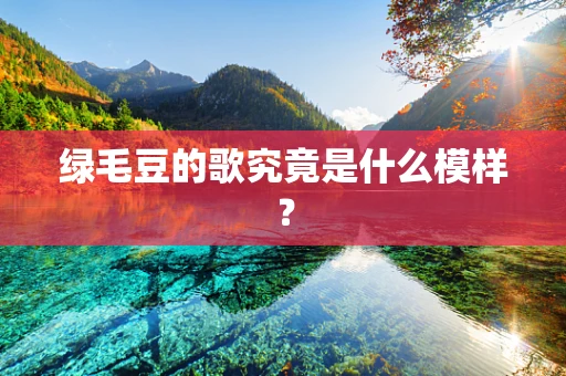 绿毛豆的歌究竟是什么模样？