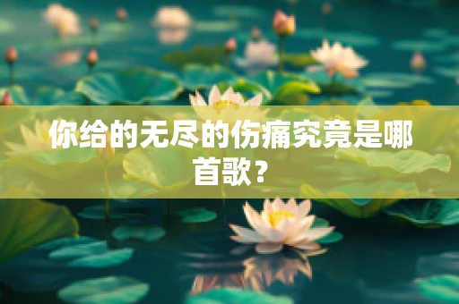 你给的无尽的伤痛究竟是哪首歌？